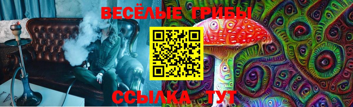Псилоцибиновые грибы мухоморы  Вход с VPN  Мурино 